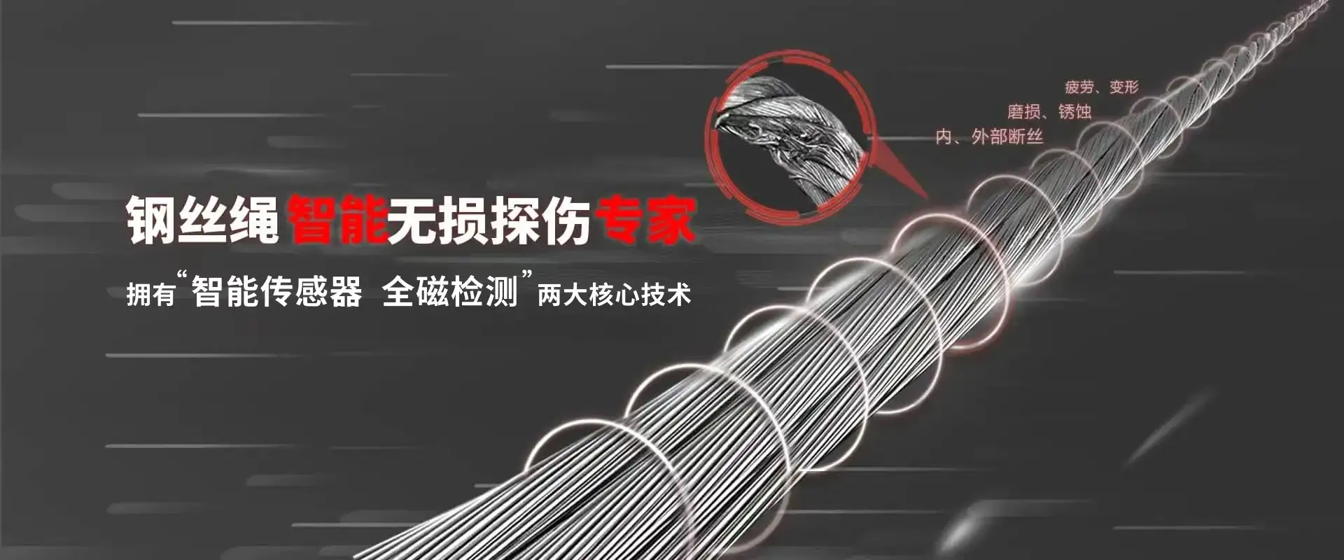 泰斯特