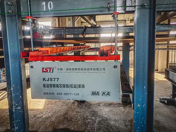 泰斯特